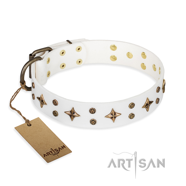 Dependable leather dog collar with non-corrosive details