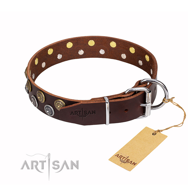 Practical leather collar for your handsome pet