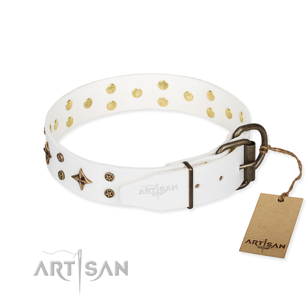 Practical leather collar for your favourite canine