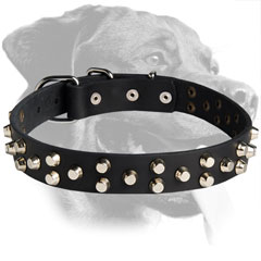 Rottweiler Breed Fascinating Leather Collar