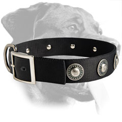 Rottweiler Elegant Design Nylon Collar