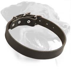 Quality Rottweiler Leather Dog Collar