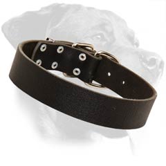 Pretty Rottweiler Leather Dog Collar