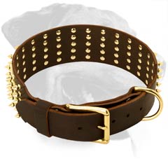 Superb Rottweiler Leather Dog Collar