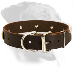 Adjustable Rottweiler Leather Dog Collar