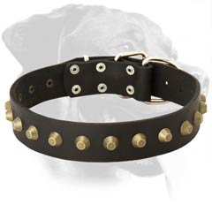 Stylish Rottweiler Leather Dog Collar