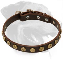 Comfy Rottweiler Leather Dog Collar