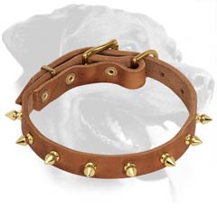 Wonderful Rottweiler Leather Dog Collar