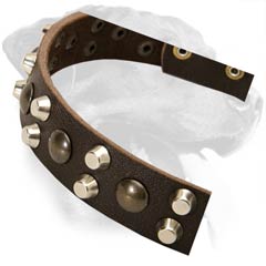 Decorated Rottweiler Leather Dog Collar