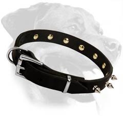Fashionable Rottweiler Leather Dog Collar