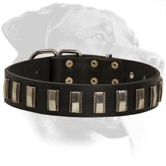 dog collars studded