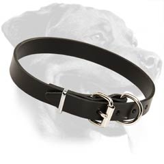 Rottweiler Leather Dog Collar with reliable buckle