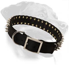 Excellent Rottweiler Nylon Dog Collar