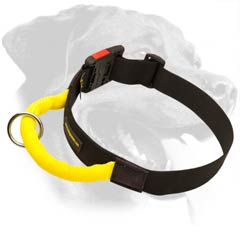 Rottweiler Nylon Dog Collar with handle