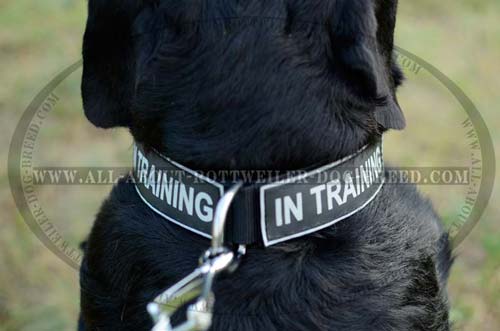 Water Proof Identification Patches on Nylon Rottweiler Collar