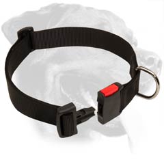 Rottweiler Nylon Dog Collar with quick release buckle