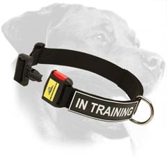 High-quality Rottweiler Nylon Dog Collar