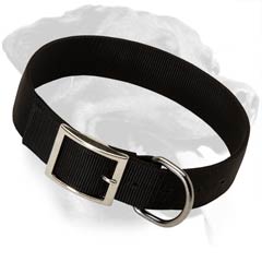 Elegant Rottweiler Nylon Dog Collar