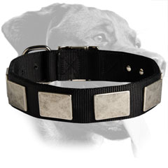 Rottweiler Trendy Design Nylon Collar
