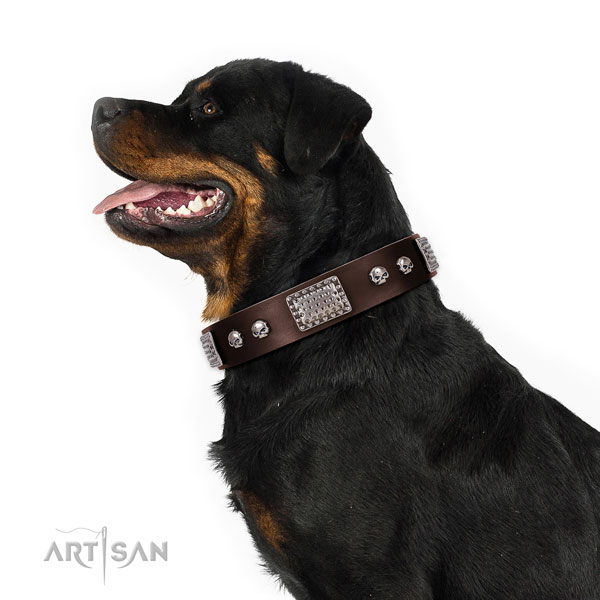 Stylish design full grain leather collar for your attractive four-legged friend