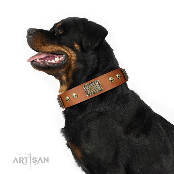 Rust-proof hardware on leather dog collar for handy use