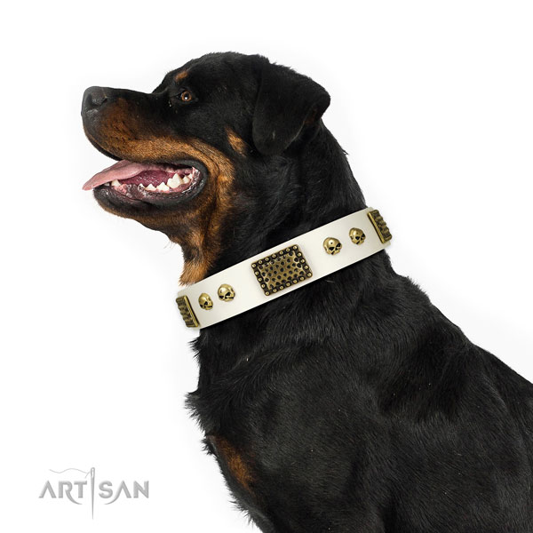 Durable D-ring on natural leather dog collar for fancy walking