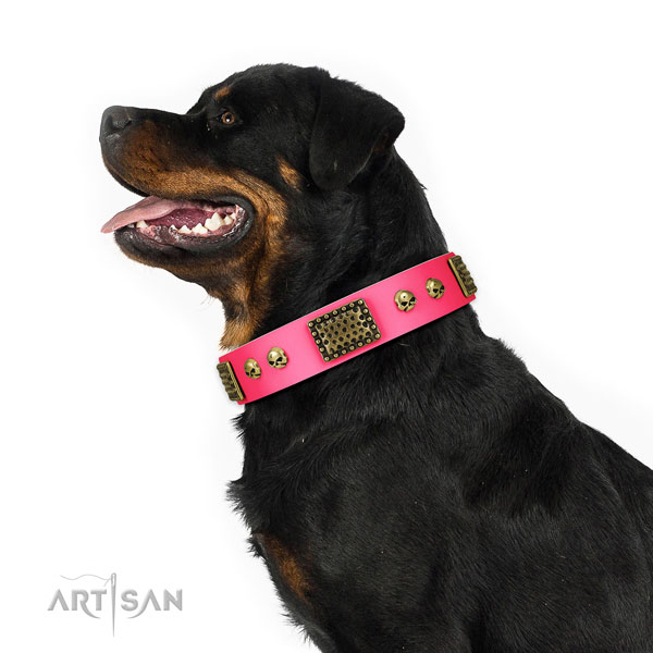 Reliable D-ring on full grain leather dog collar for daily walking