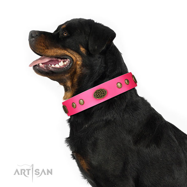 Durable fittings on full grain genuine leather dog collar for stylish walking