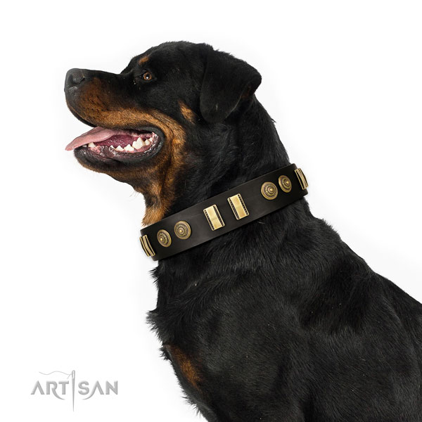 Rust-proof traditional buckle on leather dog collar for comfortable wearing