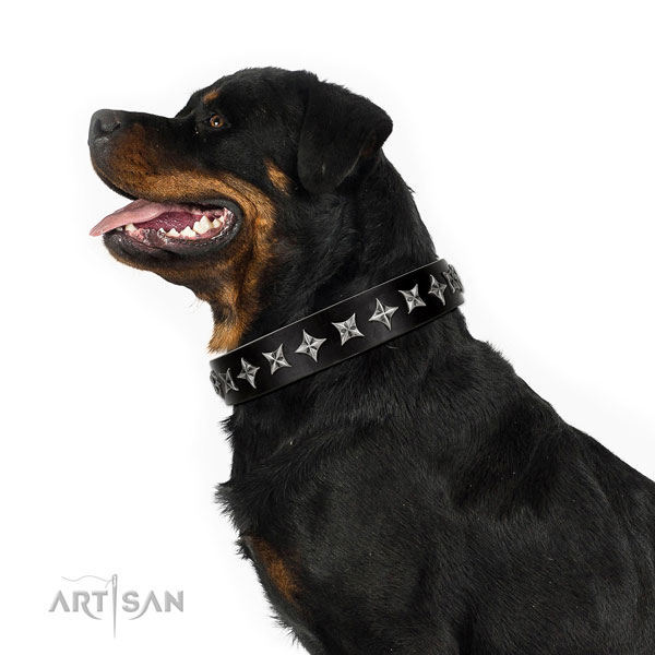 Easy wearing adorned dog collar of strong natural leather