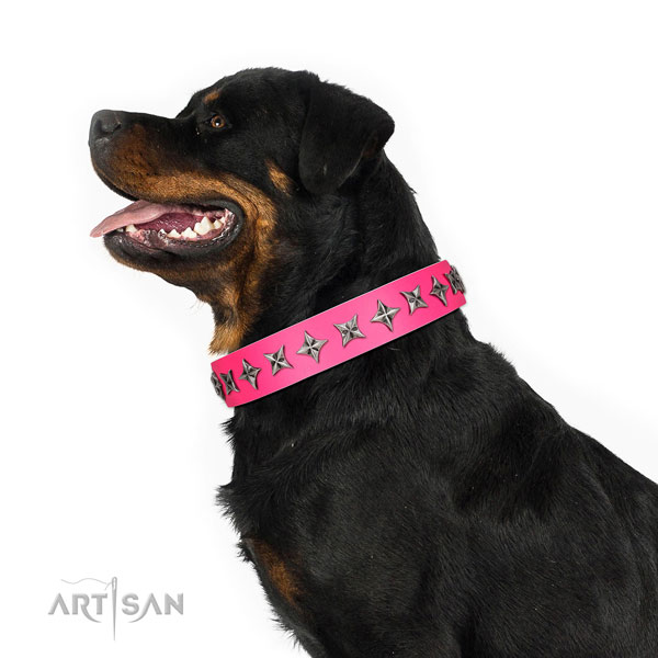 Strong full grain genuine leather dog collar with trendy adornments