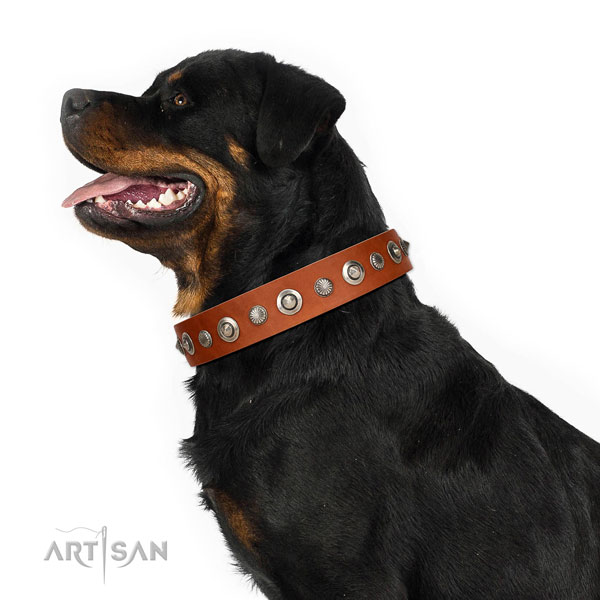 Durable full grain leather dog collar with designer decorations