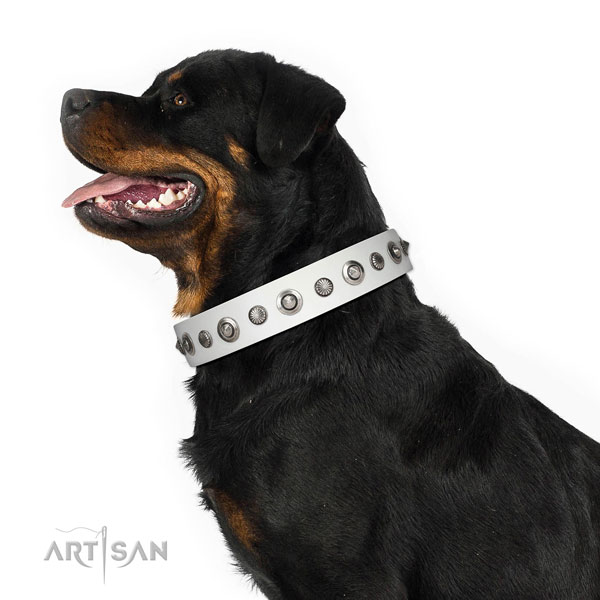 Natural leather collar with corrosion resistant traditional buckle for your stylish doggie