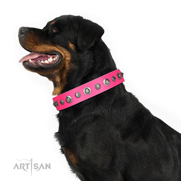 Genuine leather collar with corrosion resistant traditional buckle for your attractive dog