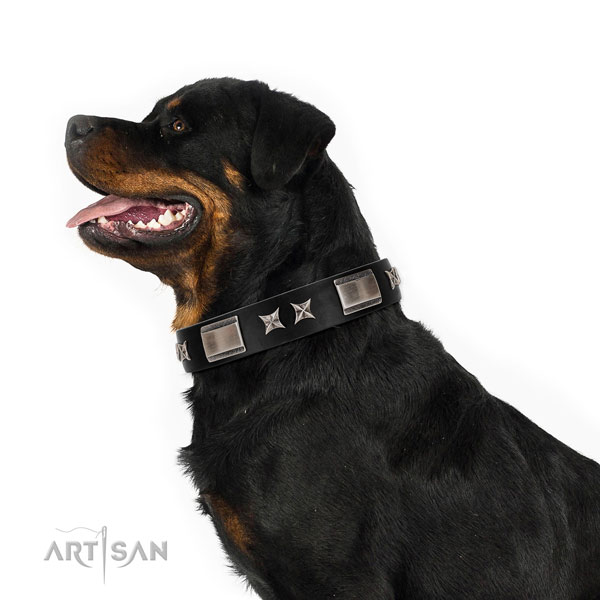 Stylish walking reliable natural leather dog collar with studs
