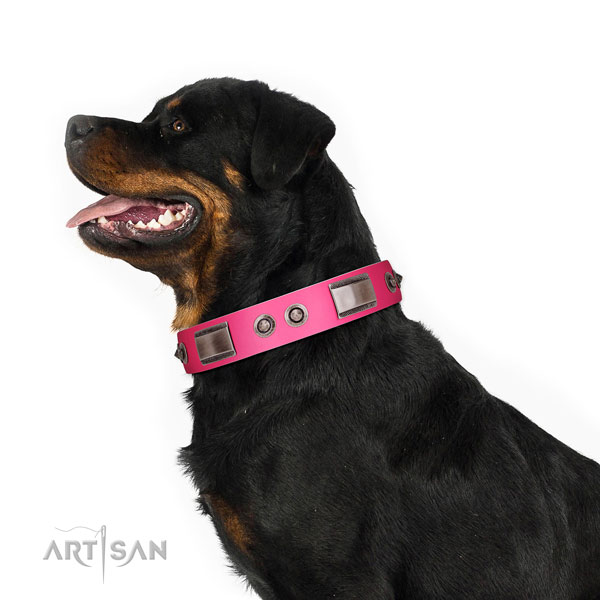 Designer natural leather dog collar with studs