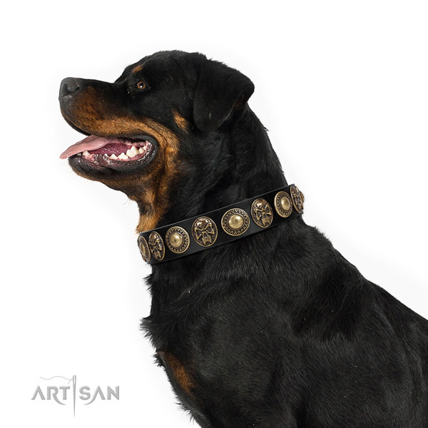 Stylish design full grain leather collar for your attractive four-legged friend