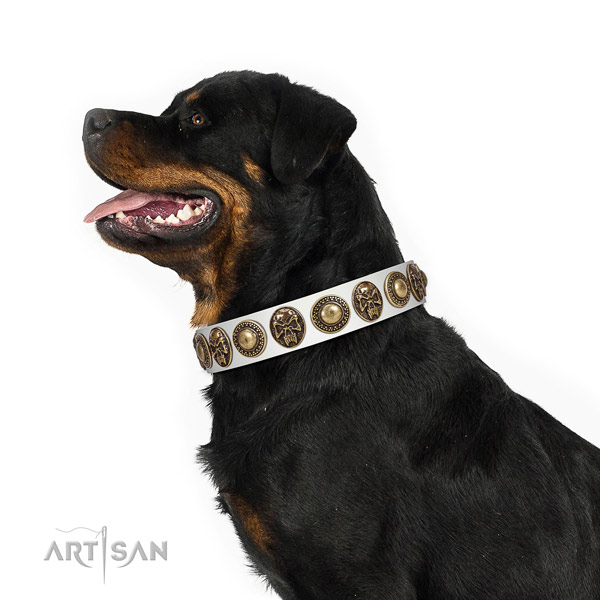 Adjustable genuine leather collar for your impressive canine