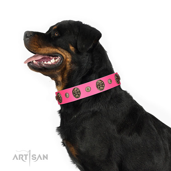 Durable fittings on full grain genuine leather dog collar for stylish walking