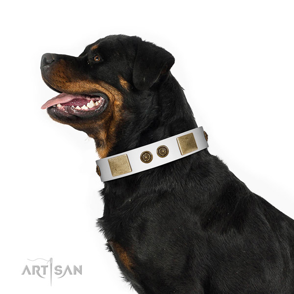 Unusual dog collar crafted for your lovely four-legged friend