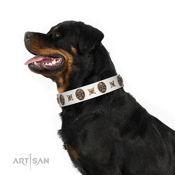 Decorated dog collar handcrafted for your lovely four-legged friend