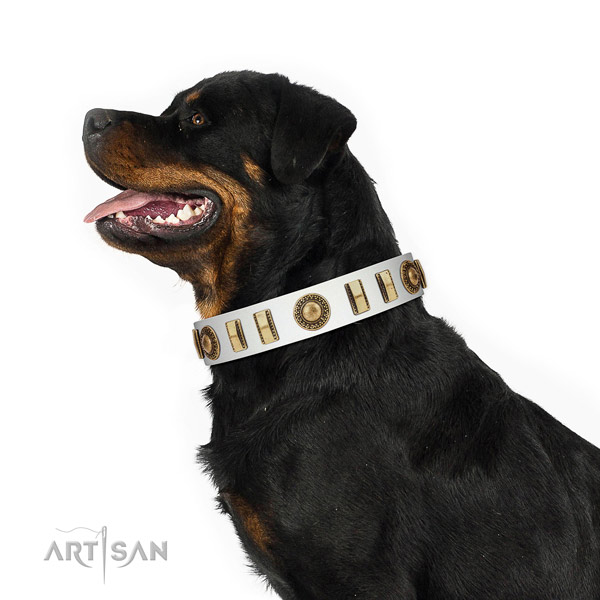 Easy adjustable full grain natural leather dog collar with durable traditional buckle