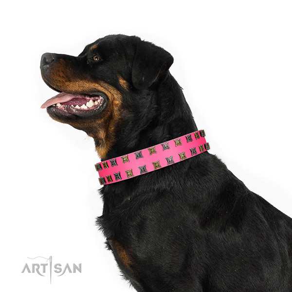 Best quality full grain genuine leather dog collar with decorations for your dog