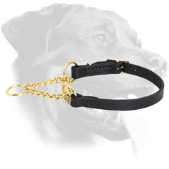 Leather Collar for Rottweiler Behavior Correction