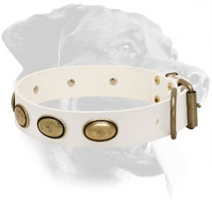 Rottweiler Collar Made of Leather with Brass Fittings
