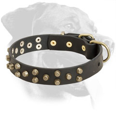 Rottweiler Collar Made of Genuine Leather with Brass Fittings