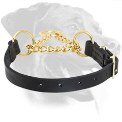 Leather Rottweiler Collar Equipped with Brass Fittings