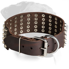 Leather Rottweiler Choke Collar Equipped with Brass Hardware