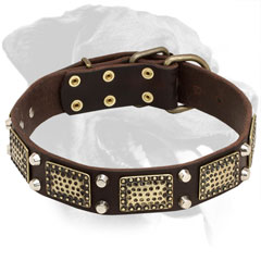 Everyday Walking Leather Rottweiler Collar