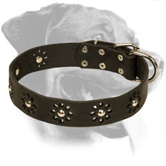 Flower Design Leather Rottweiler Collar for Everyday Walking